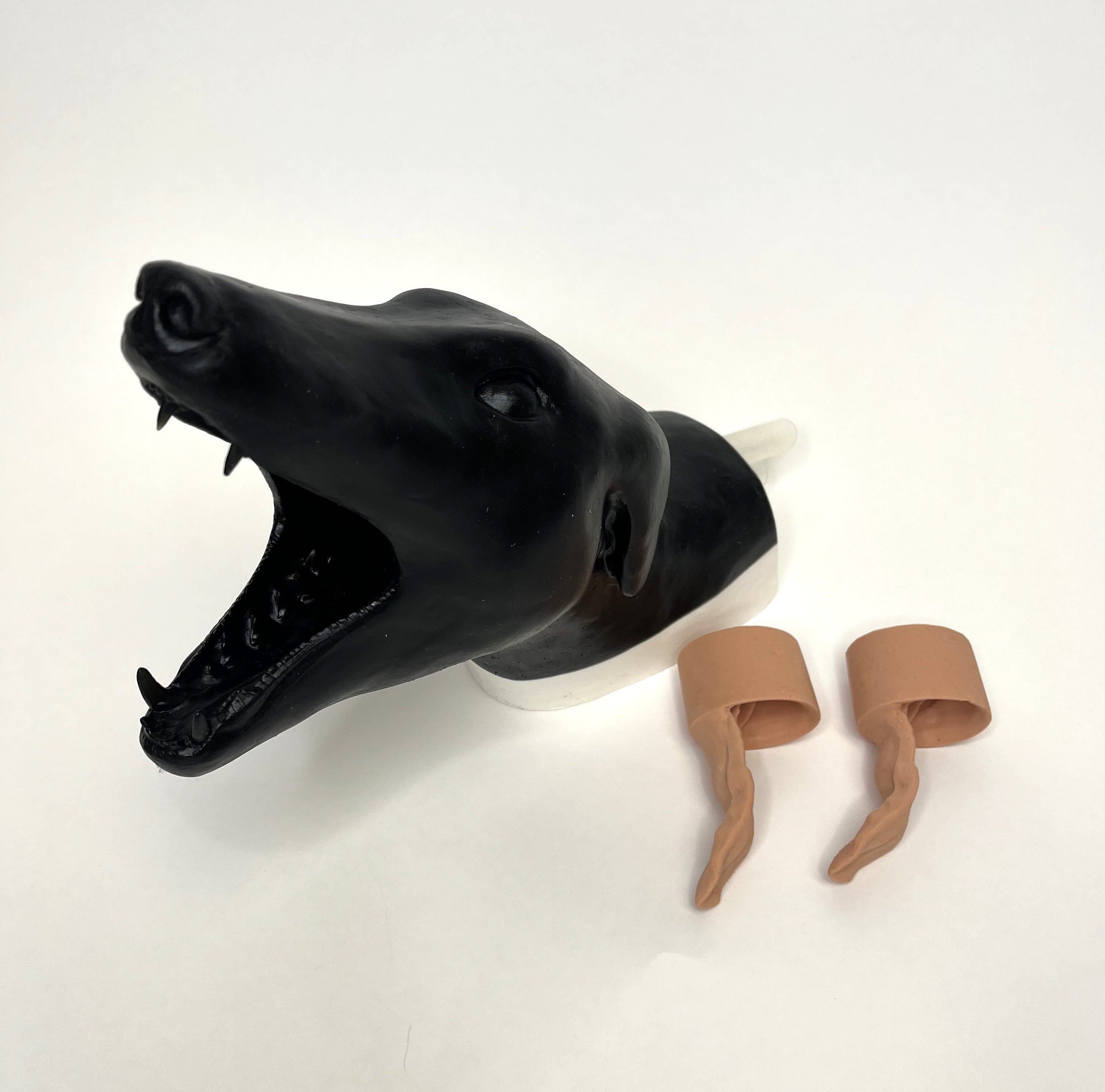Simulador de acceso vascular Canine Head