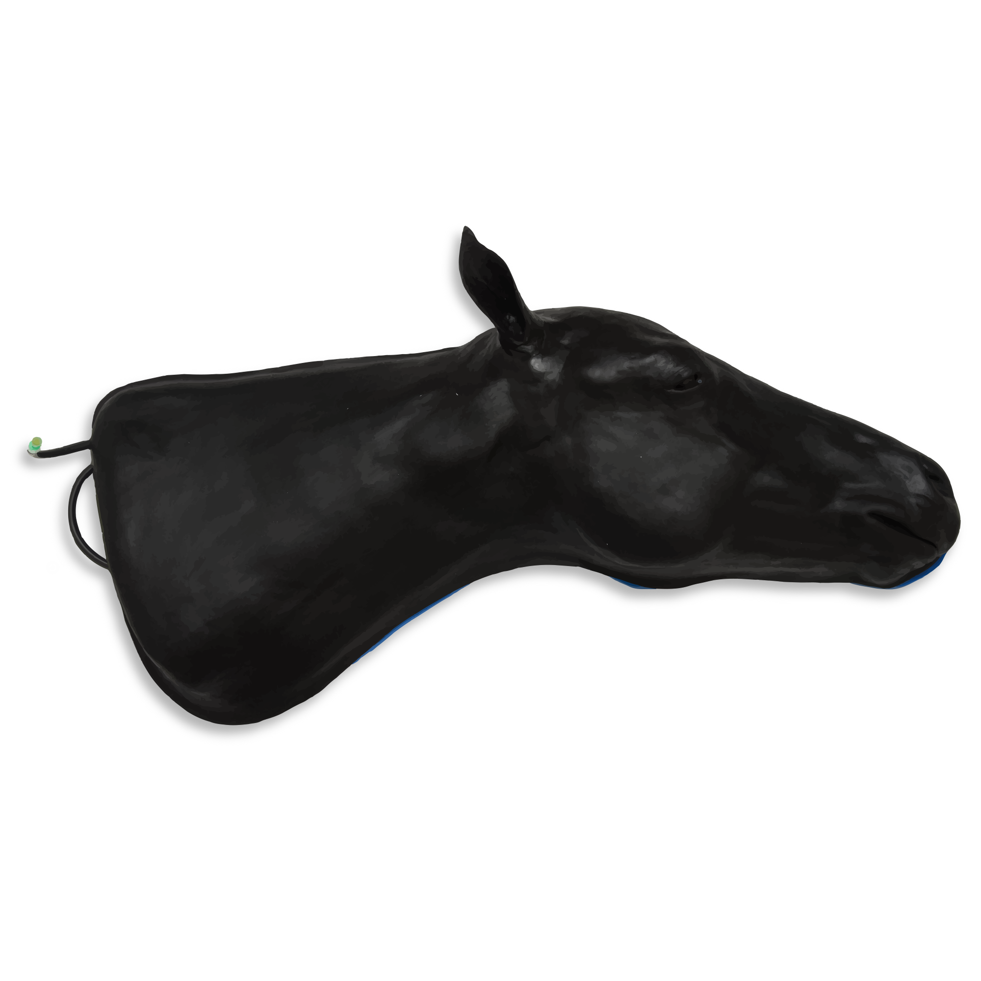 Simulador equino 1.0