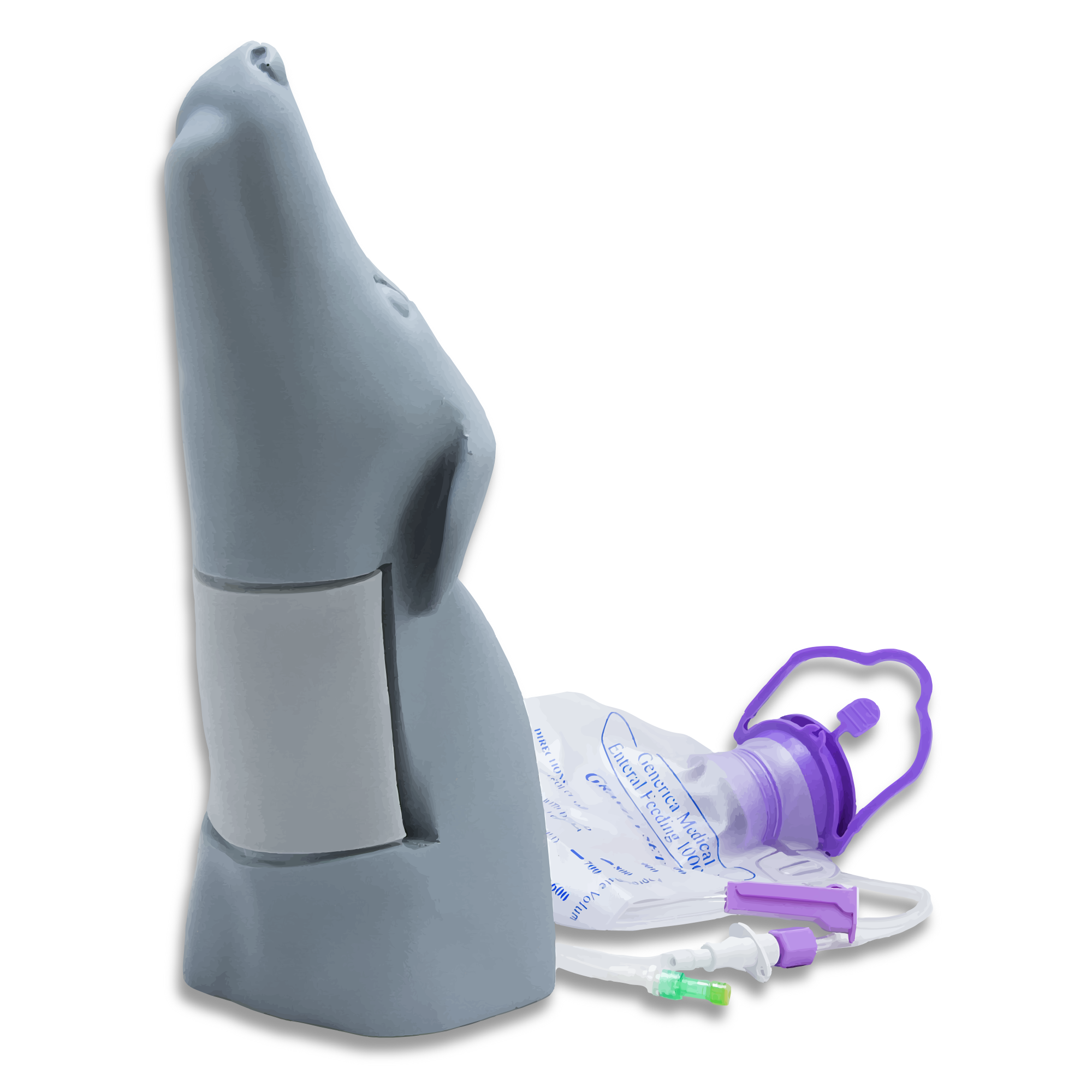 Simulador de acceso vascular Canine Head