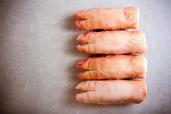 Suture Practice: Why Suture Pads Are Superior To Pigs Feet